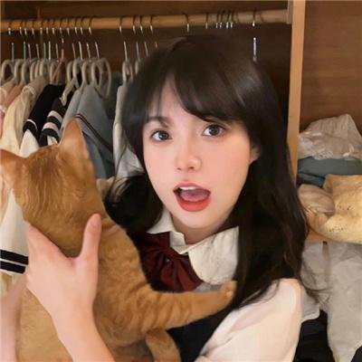 持续更新
